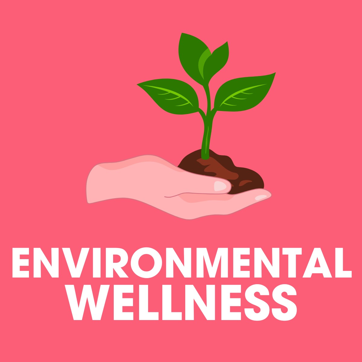 Environmental Wellness