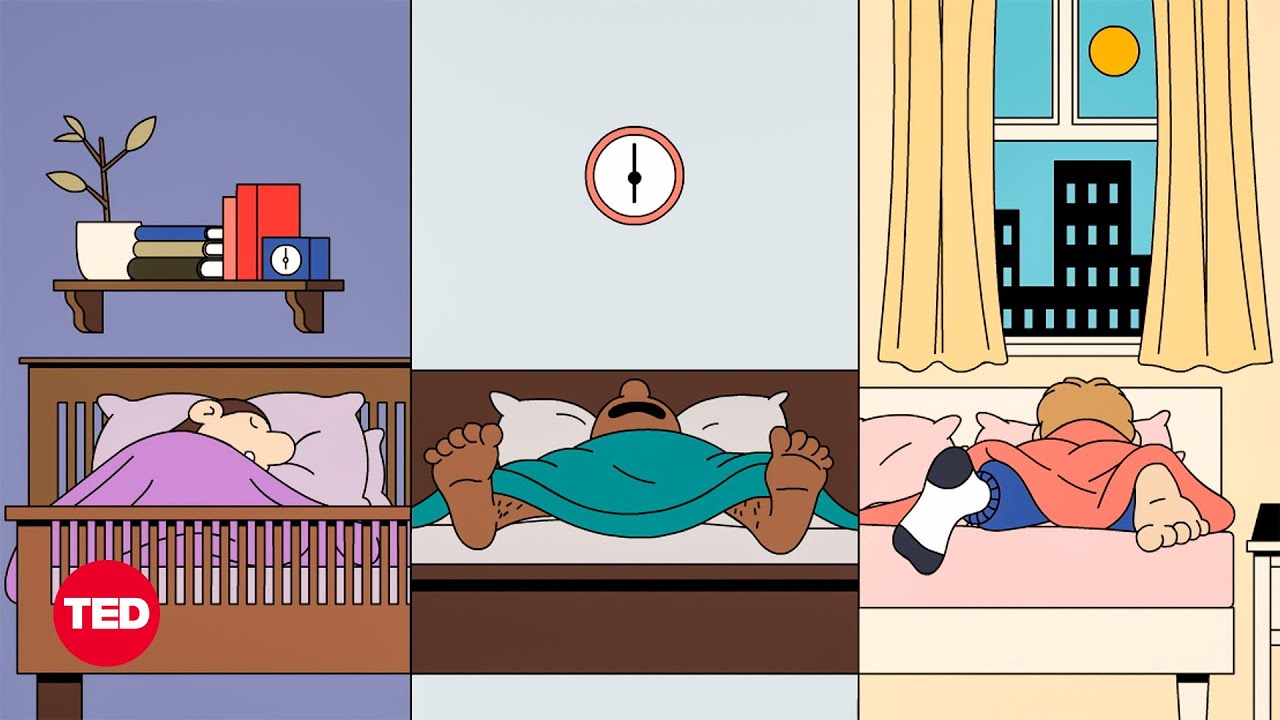 Do You Really Need 8 Hours of Sleep Every Night - Body Stuff with Dr. Jen Gunter TED